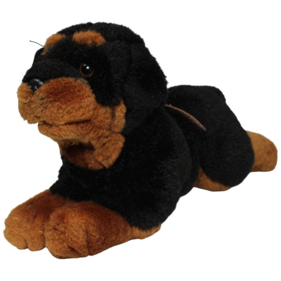 Schöner Rottweiler