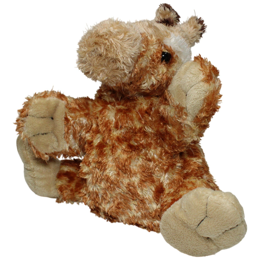 Hübsche Giraffe