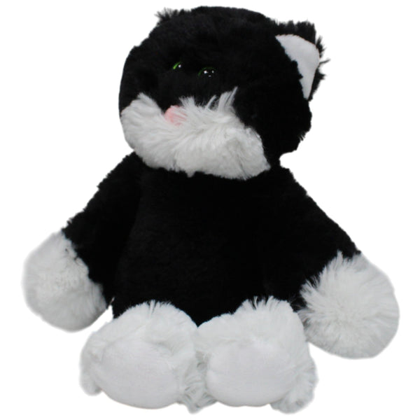 Schwarze Katze Bessie
