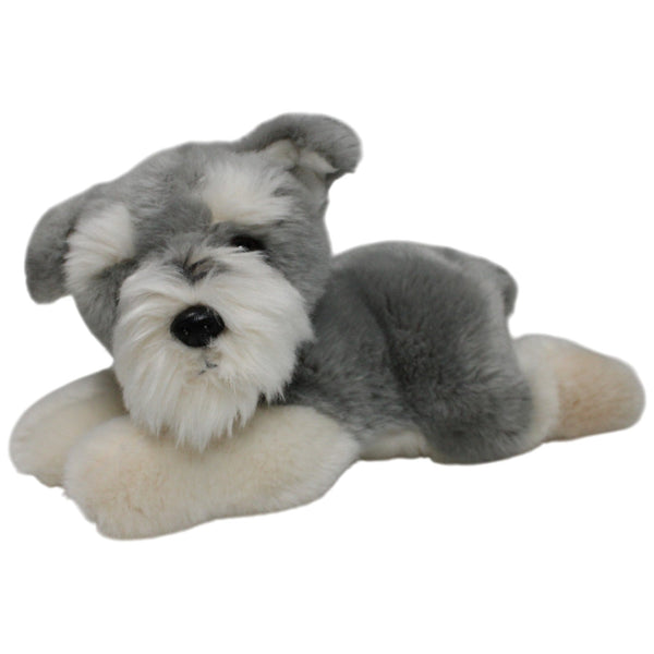 Süßer Schnauzer, liegend