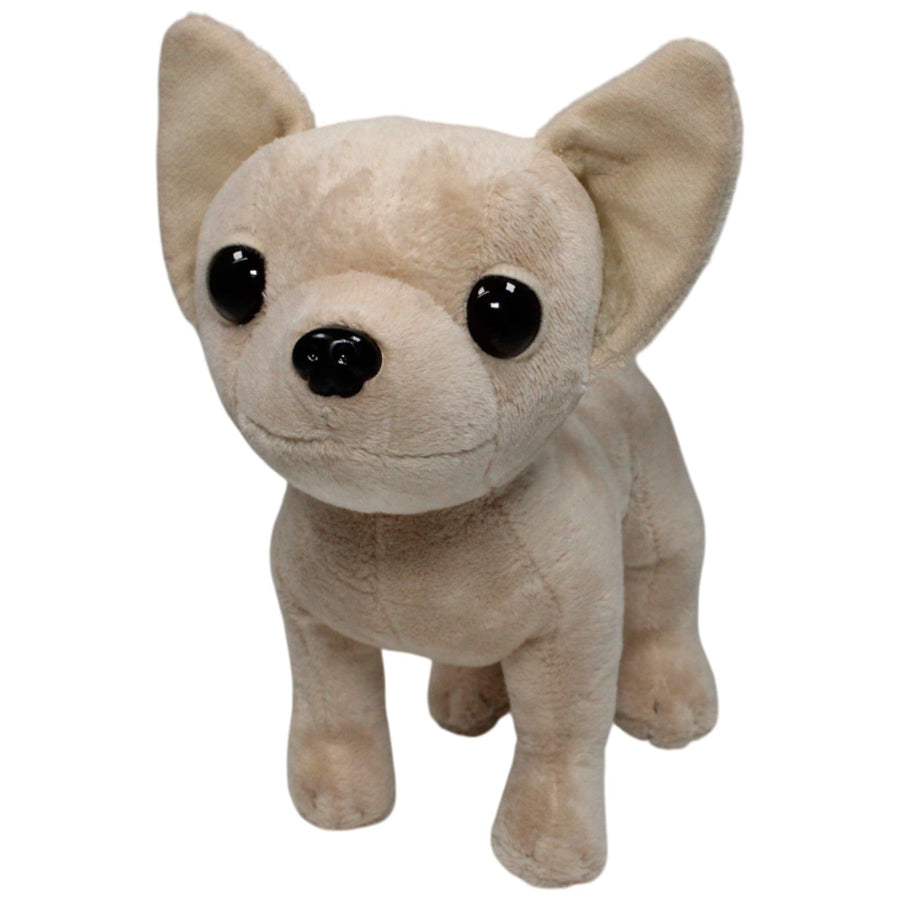 Chi Chi Love, süßer Chihuahua