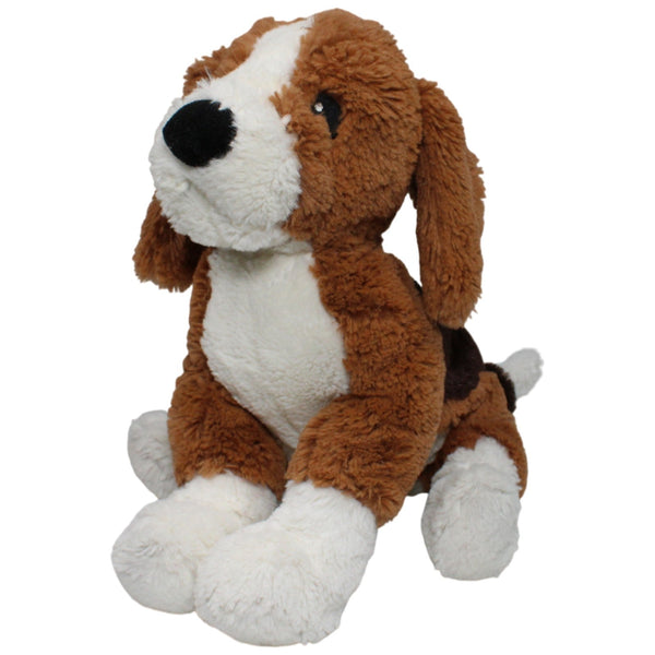 Beagle, GOSIG VALP