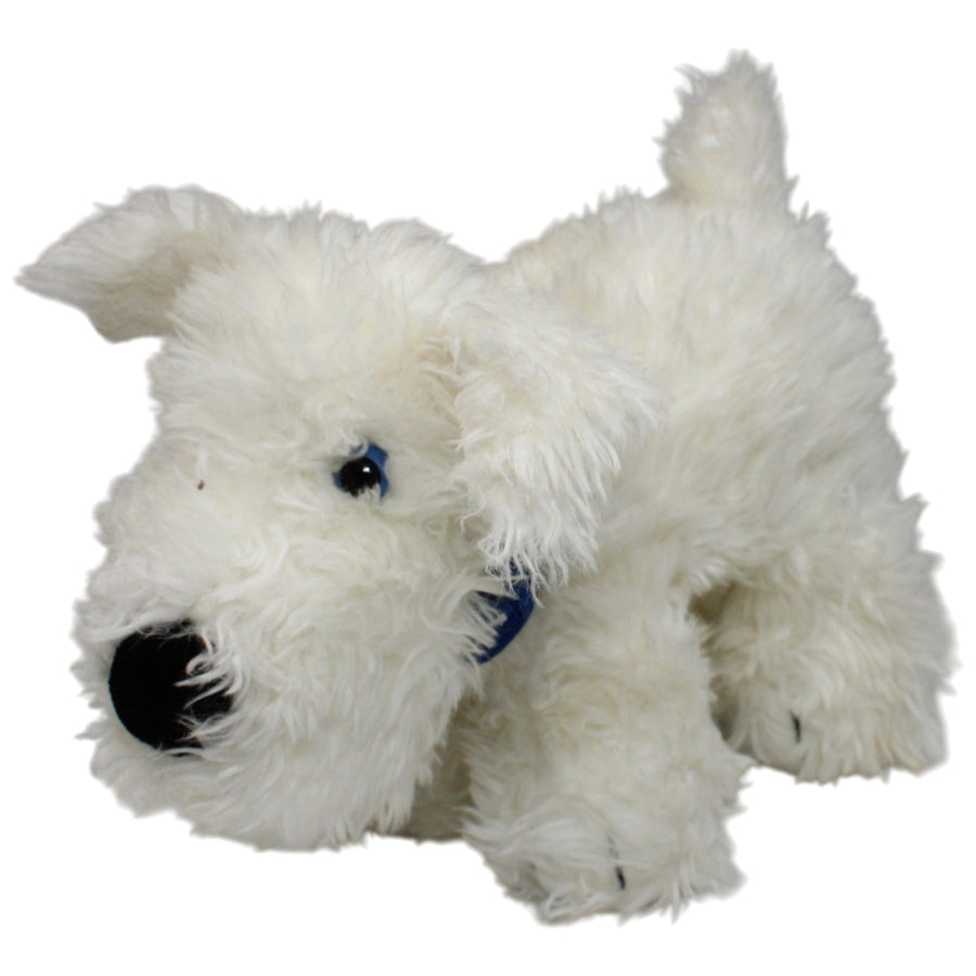 Hund mit blauem Halstuch, weiß