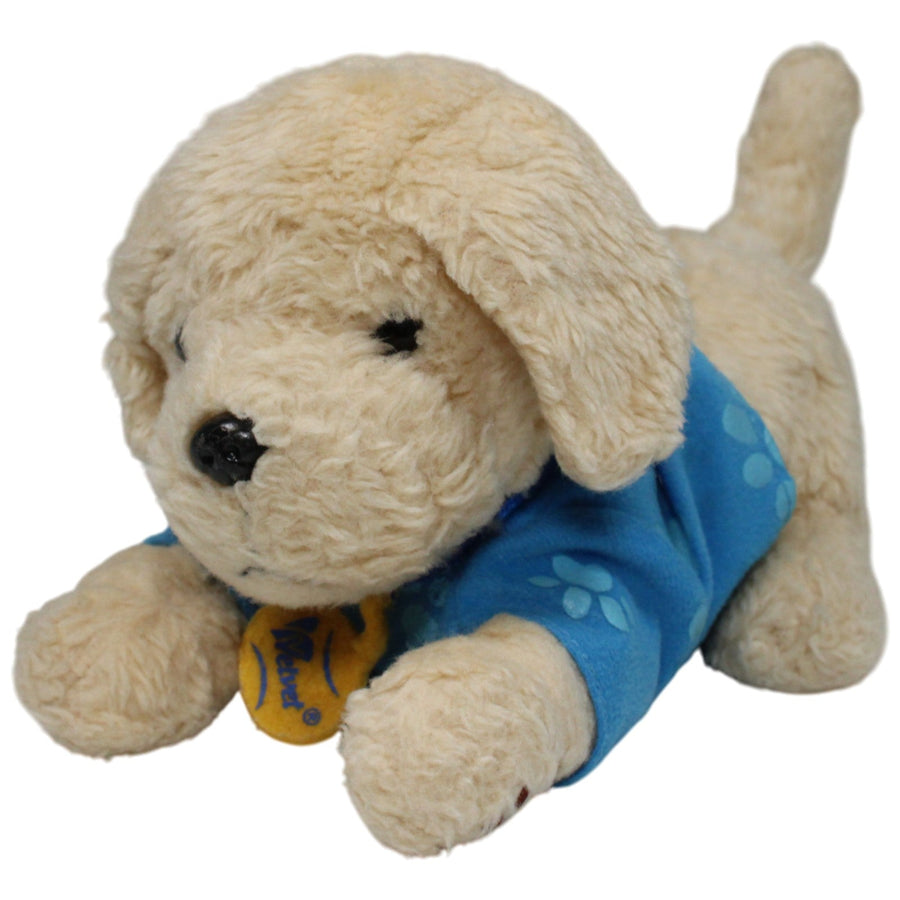 Velvet, Golden Retriever mit blauem Shirt