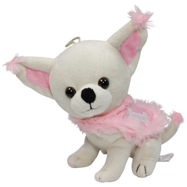 Süßer heller Chihuahua mit rosa Jäckchen