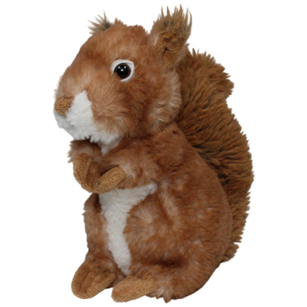Süßes Eichhörnchen, braun-weiß
