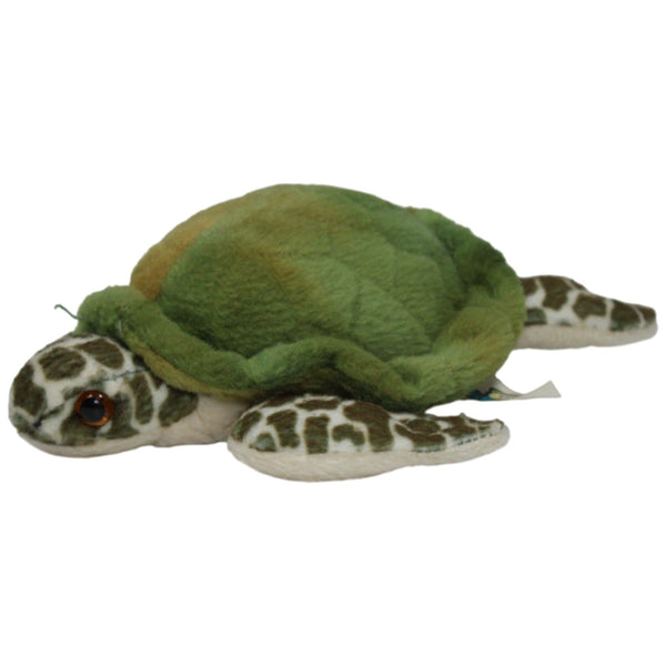 Kleine Schildkröte
