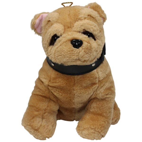 Süßer brauner Shar-Pei mit Halsband, sitzend