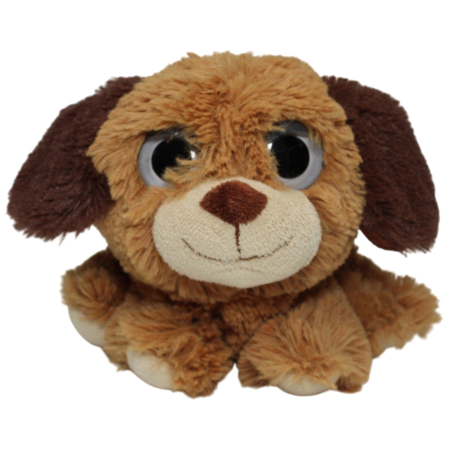 Süßer brauner zotteliger Hund