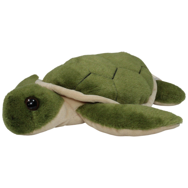 Hübsche Schildkröte, grün-beige