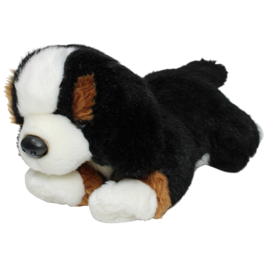 Süßer Berner Sennenhund Welpe, liegend