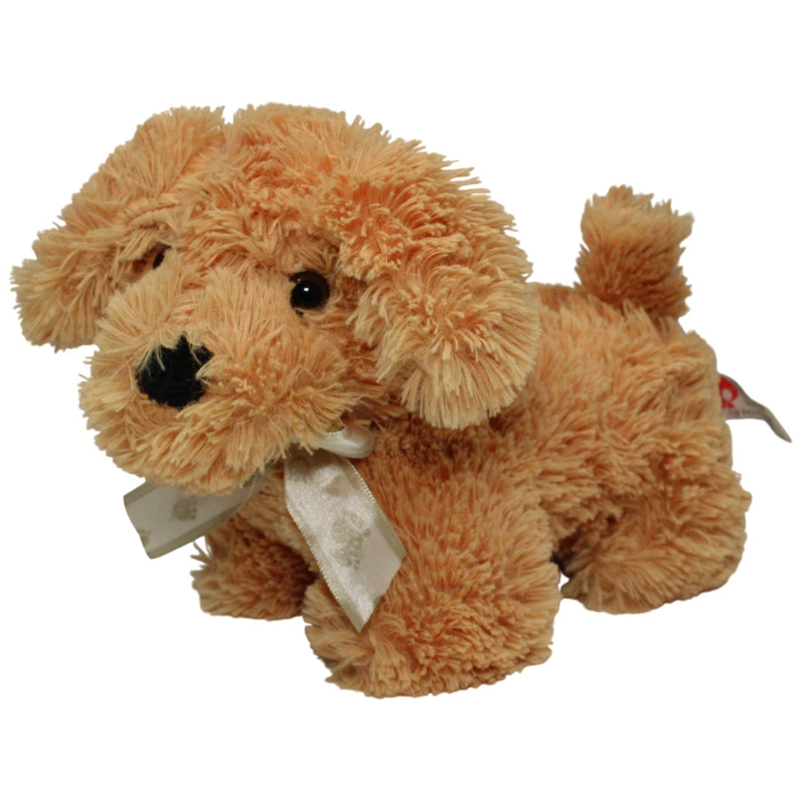 Süßer Hund mit Schleife, stehend