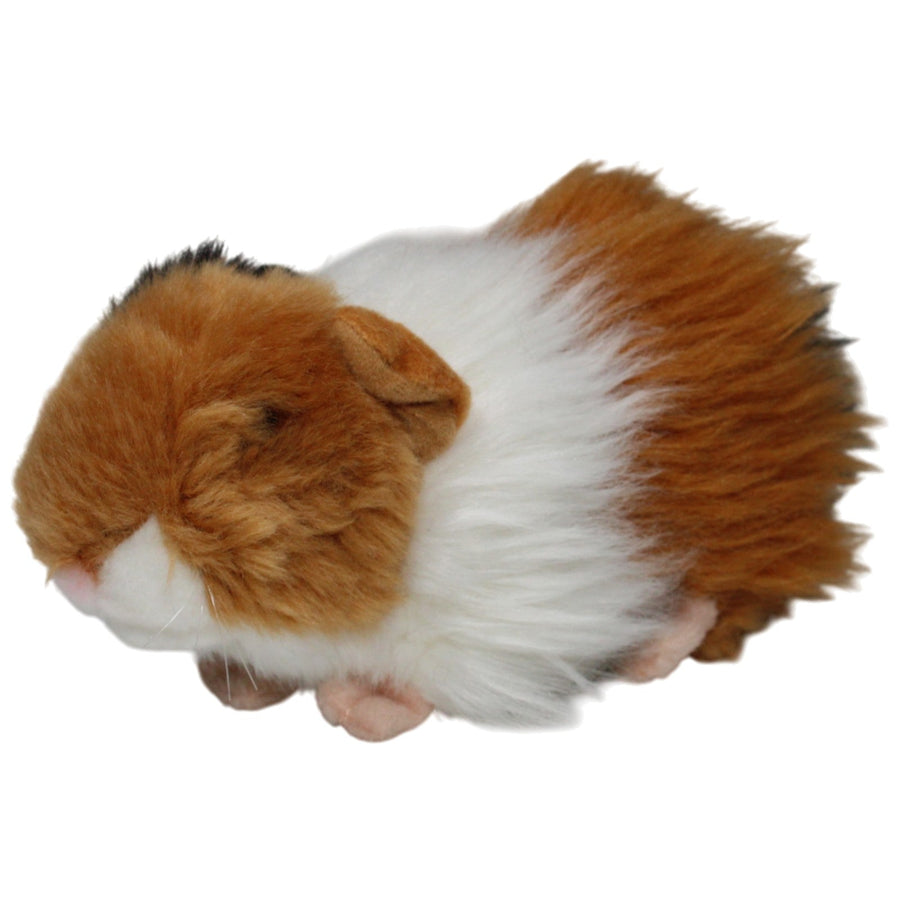 Meerschweinchen mit langen Haaren, 3-farbig