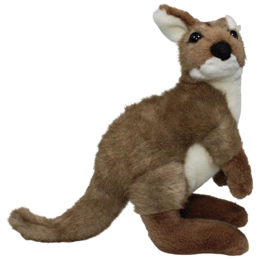 Hübsches Känguru, stehend