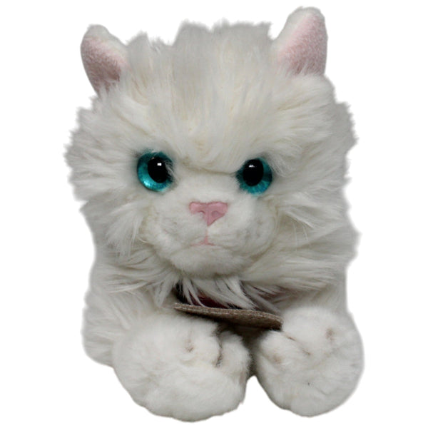 Süßes weißes Katzen-Baby Tiffany mit Halsband