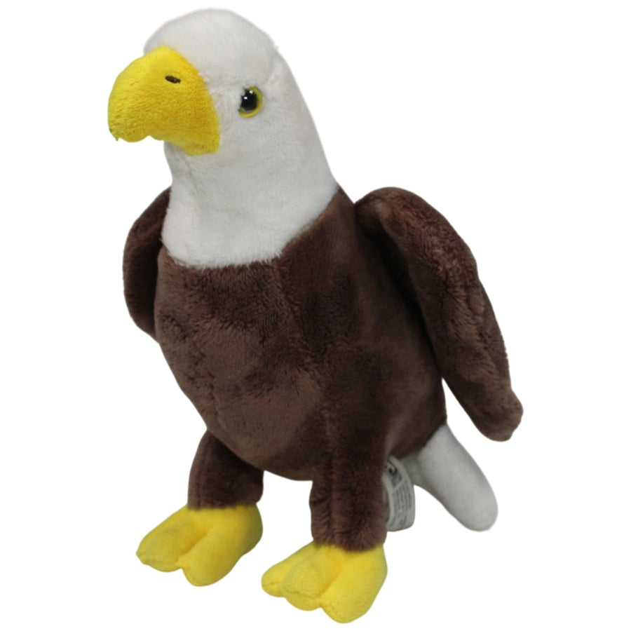 Weißkopfseeadler, stehend