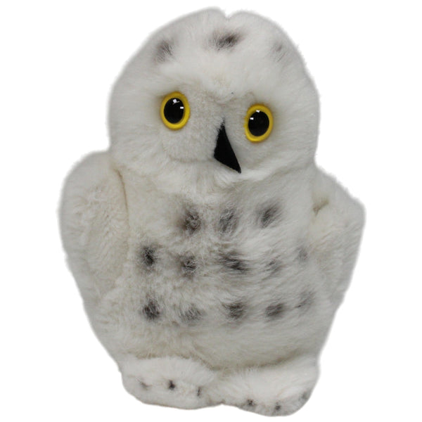 KÖSEN, kleine Schneeeule