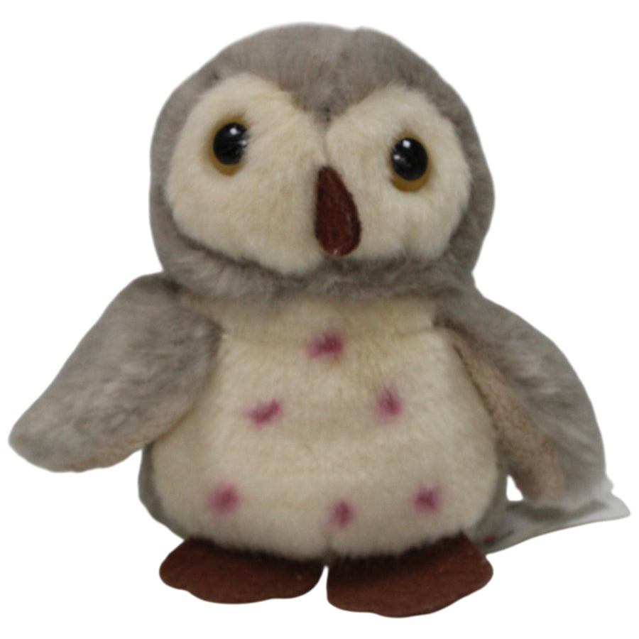 Kleine graue Eule