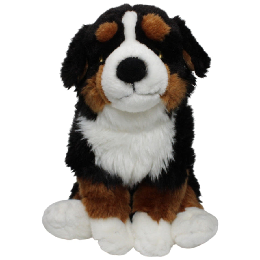 Süßer Berner Sennenhund Welpe, sitzend
