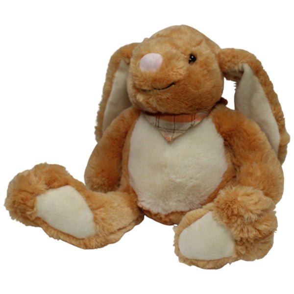 Hase mit langen Schlappohren und großen Ohren