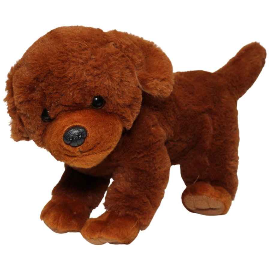 Süßer großer brauner Hund
