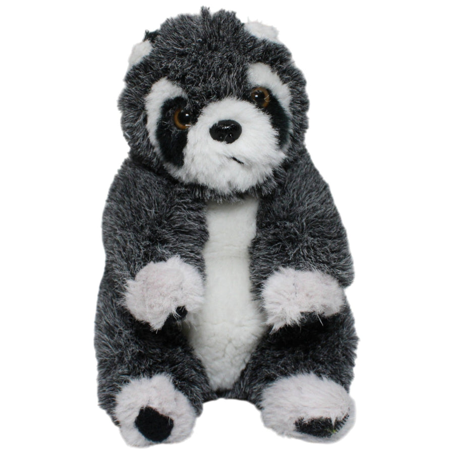 Waschbär mit Klett-Händen