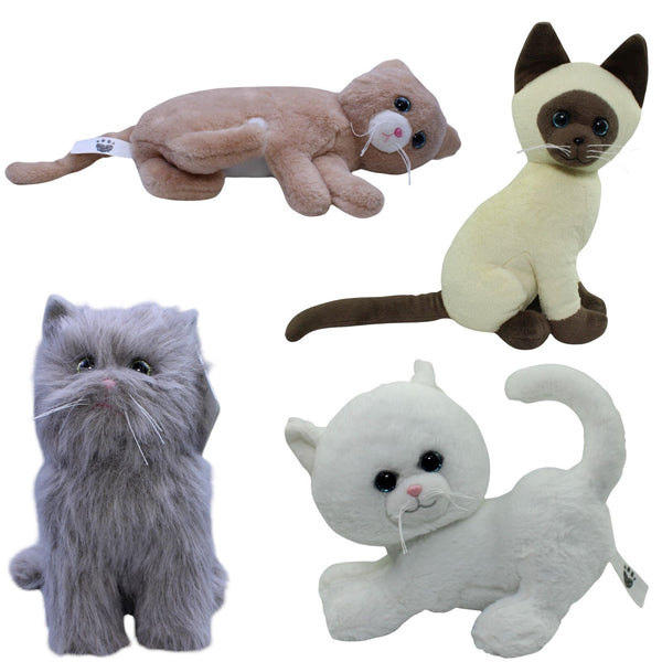 Pets2Cuddle, Katzen