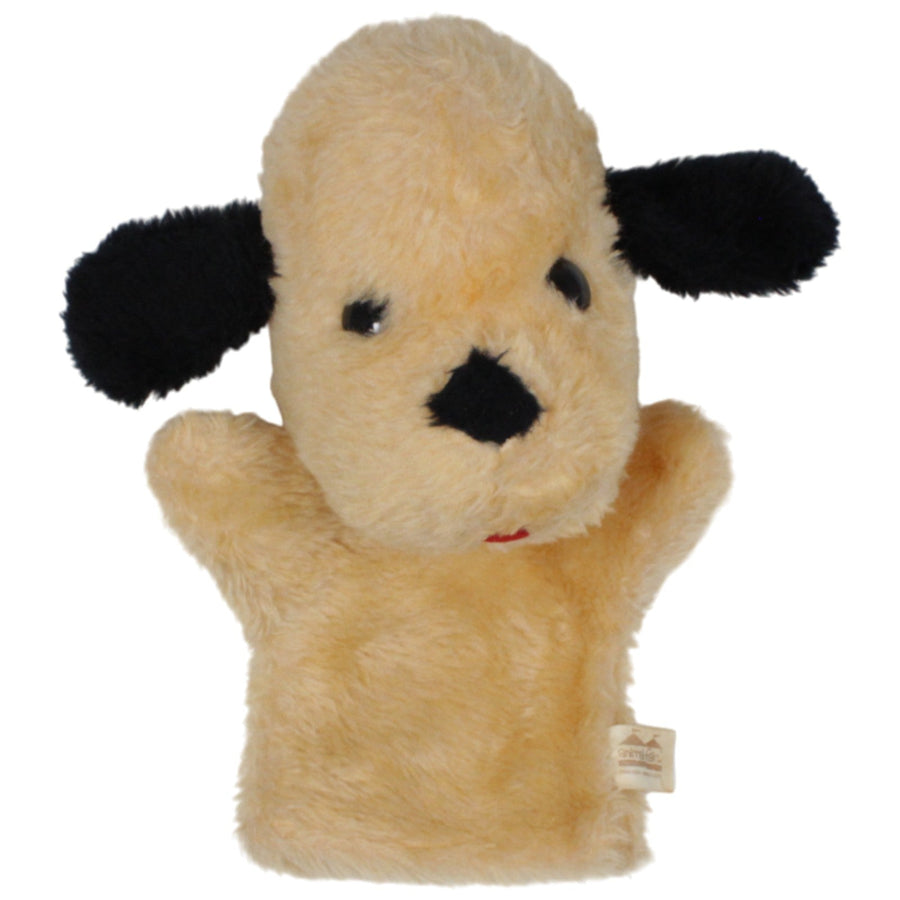 Süßer Hund