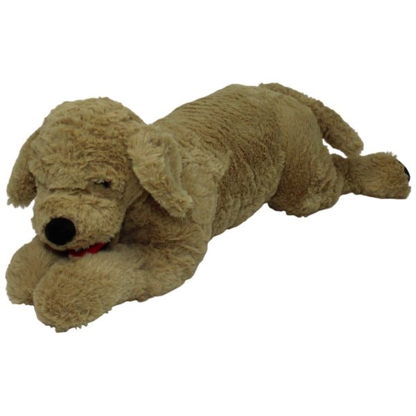 BenBen, XXL Golden Retriever liegend