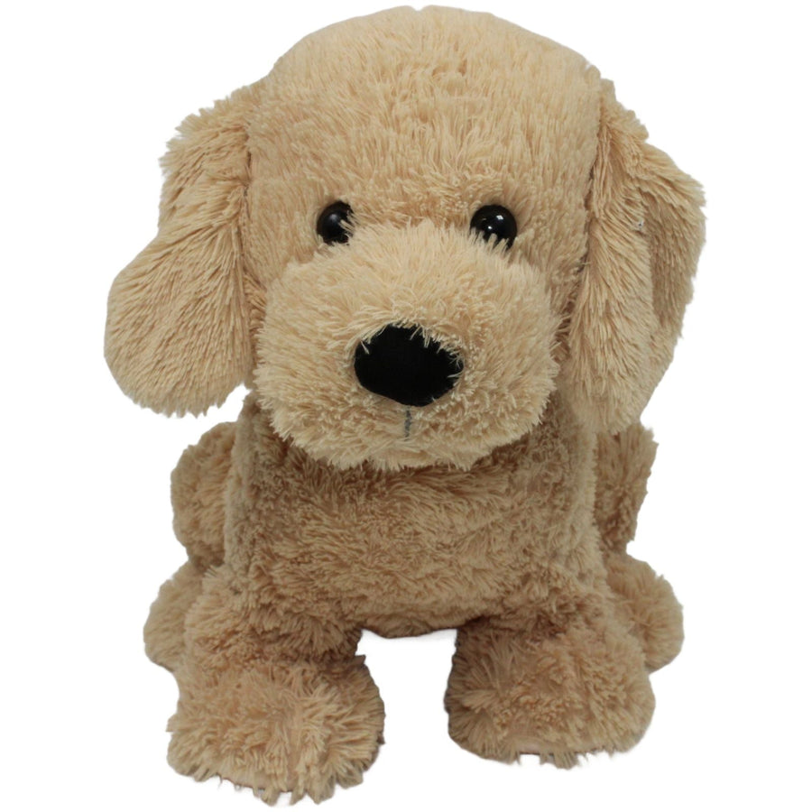 Süßer XL Golden Retriever, sitzend
