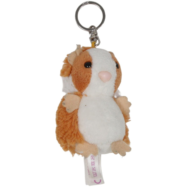 Meerschweinchen