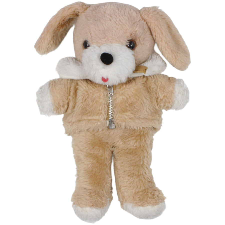 Hund mit Jacke, beige