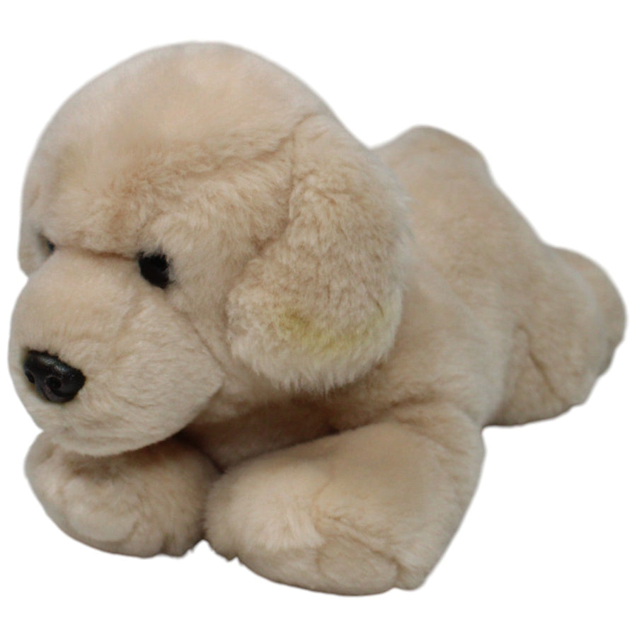 Golden Retriever Welpe, liegend