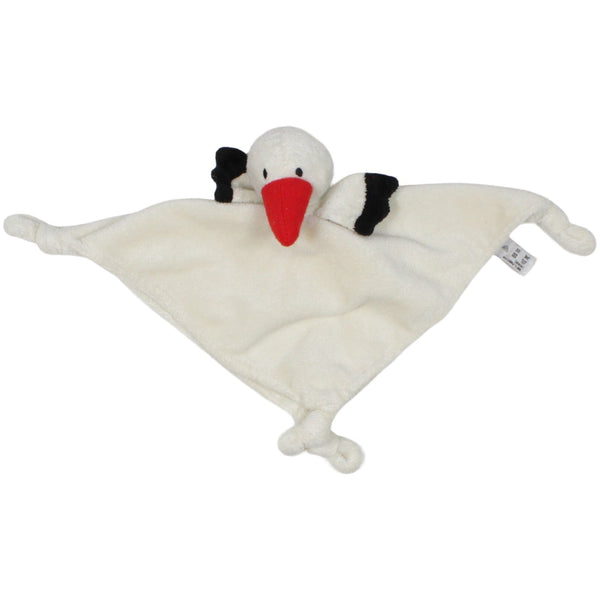 Storch