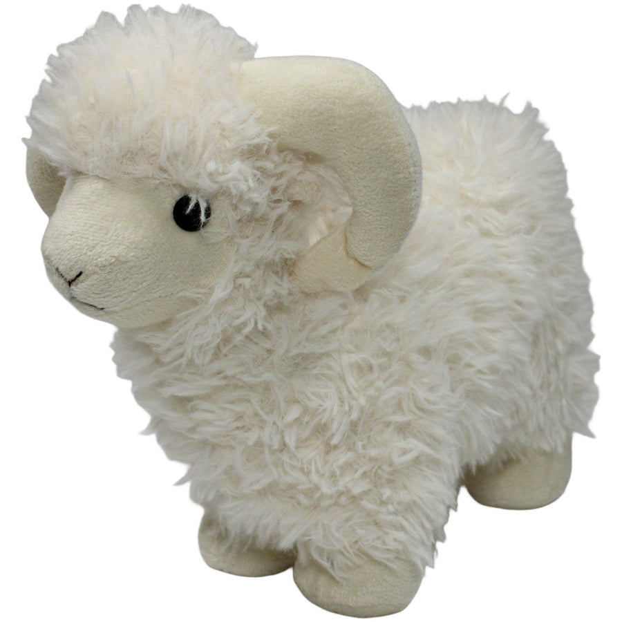 Hübscher Widder, flauschig