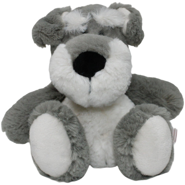 Schlenker Schnauzer mit Halsband