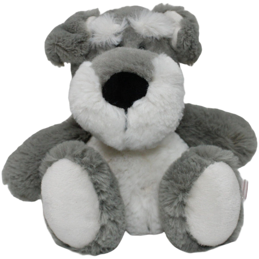 Schlenker Schnauzer mit Halsband