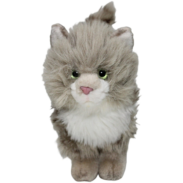 Süße graue Tigerkatze