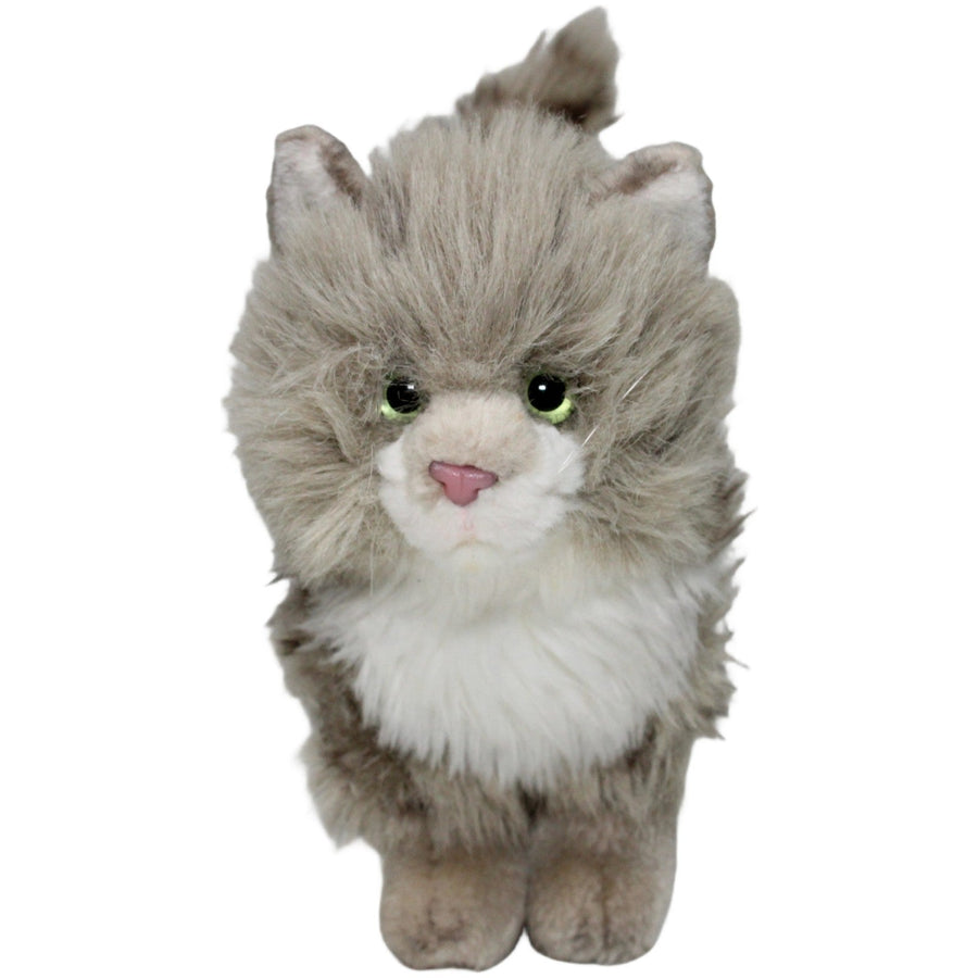 Süße graue Tigerkatze