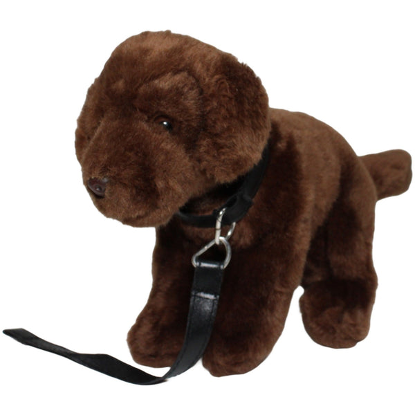 Labrador mit Leine