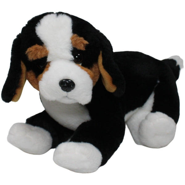 Süßer Berner Sennenhund Welpe