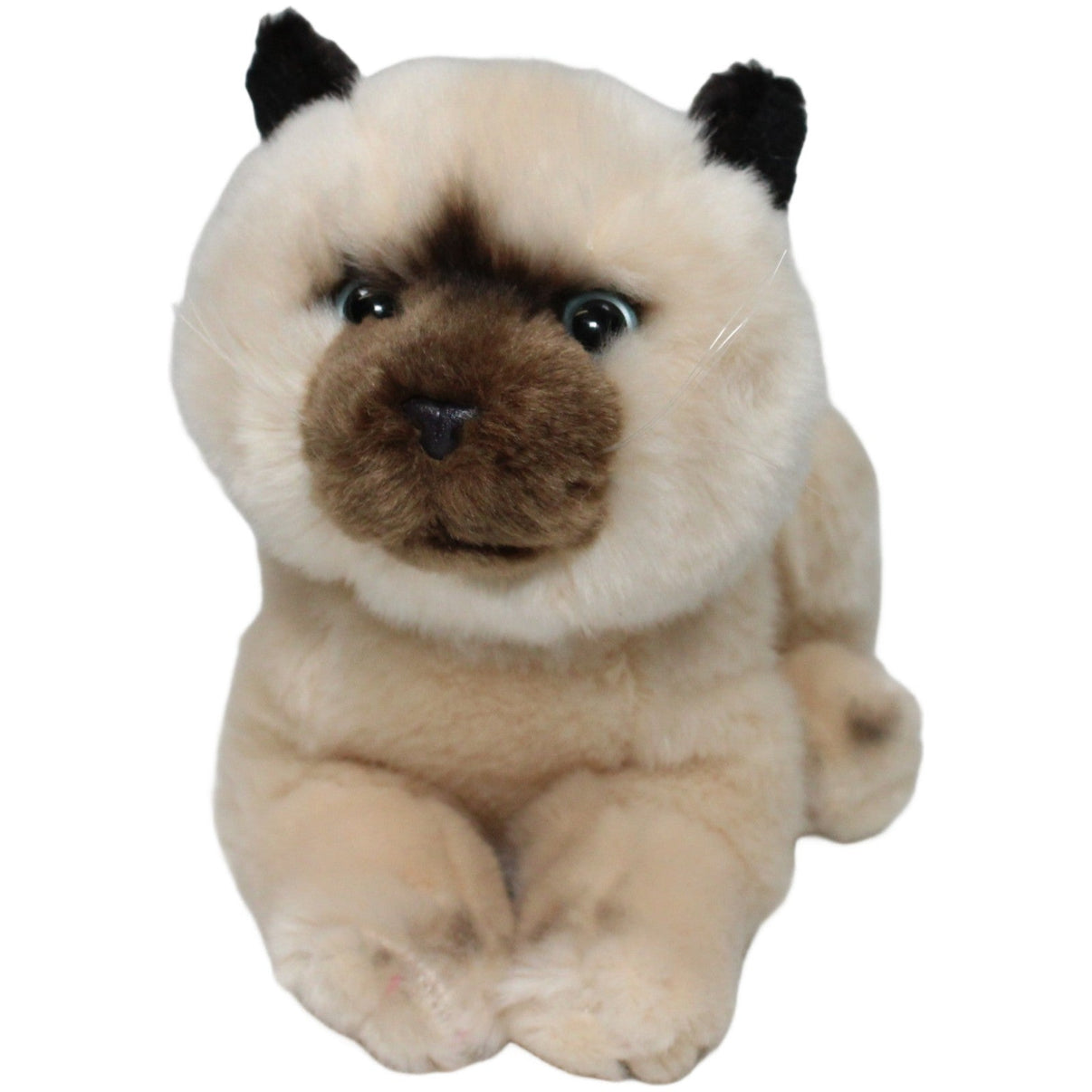123000020538 Uni - Toys LEOSCO, liegende Siamkatze Kuscheltier Kumpel Leo 25cm Beige Braun