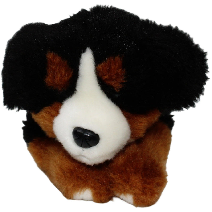 Weicher Berner Sennenhund, liegend