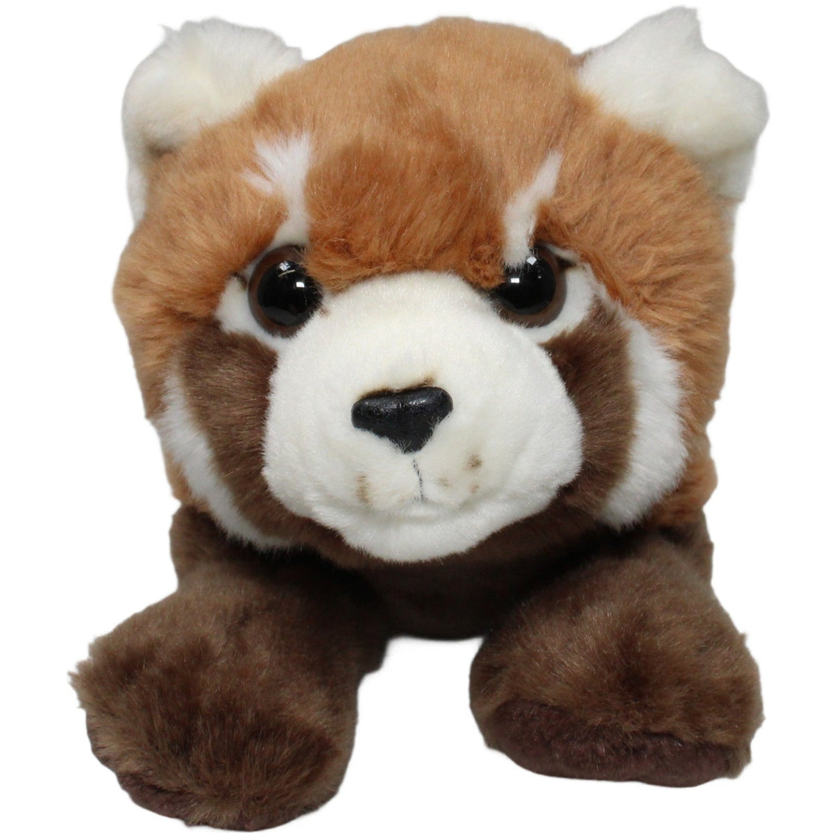 123000020748 Nature Planet Roter Panda, liegend Kuscheltier Kumpel Leo 32cm Braun ebay - stofftiere