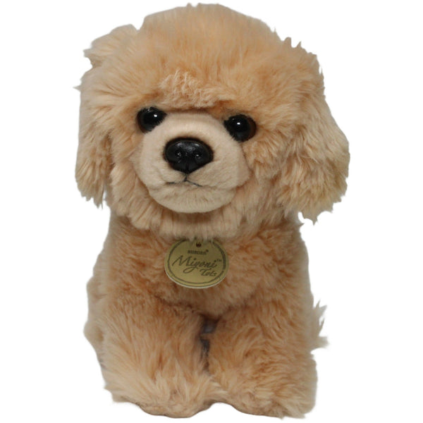 Miyoni Tots, Golden Retriever Welpe sitzend