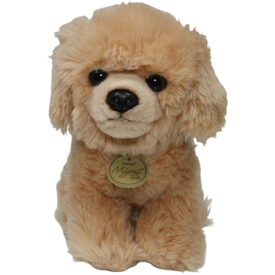 Miyoni Tots, Golden Retriever Welpe sitzend