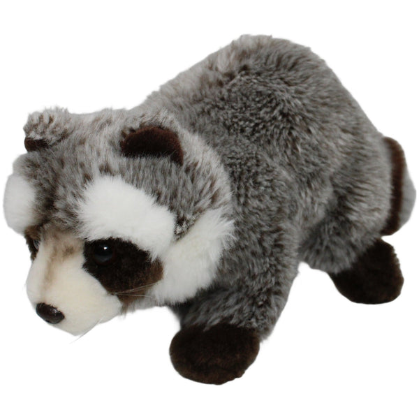 Hübscher Waschbär