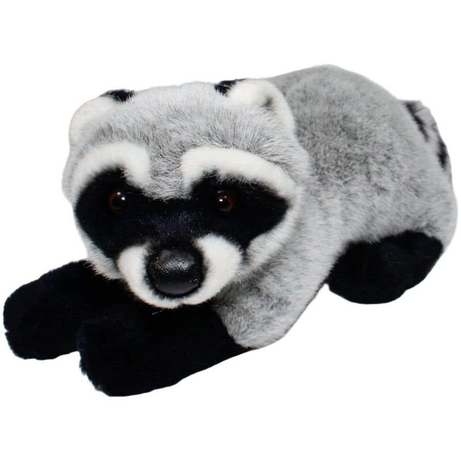 Süßer Waschbär, liegend
