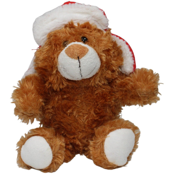 Teddy mit winterlicher Mütze