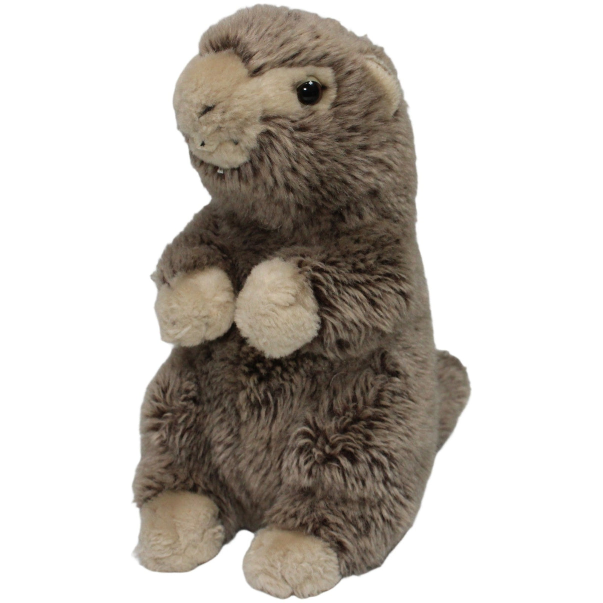 123000020899 Teddy - Hermann Murmeltier Kuscheltier Kumpel Leo 25cm Beige Braun